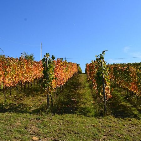 Agriturismo Costa Dei Platani Acqui Terme Extérieur photo