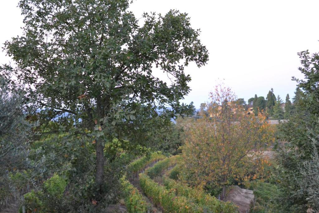 Agriturismo Costa Dei Platani Acqui Terme Extérieur photo