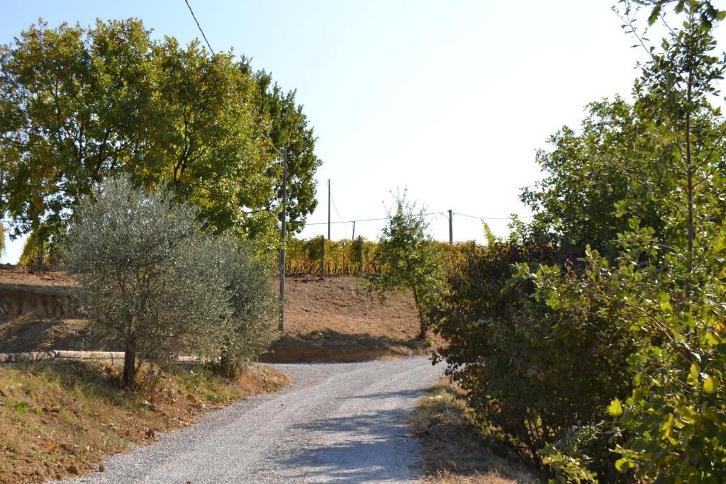 Agriturismo Costa Dei Platani Acqui Terme Extérieur photo