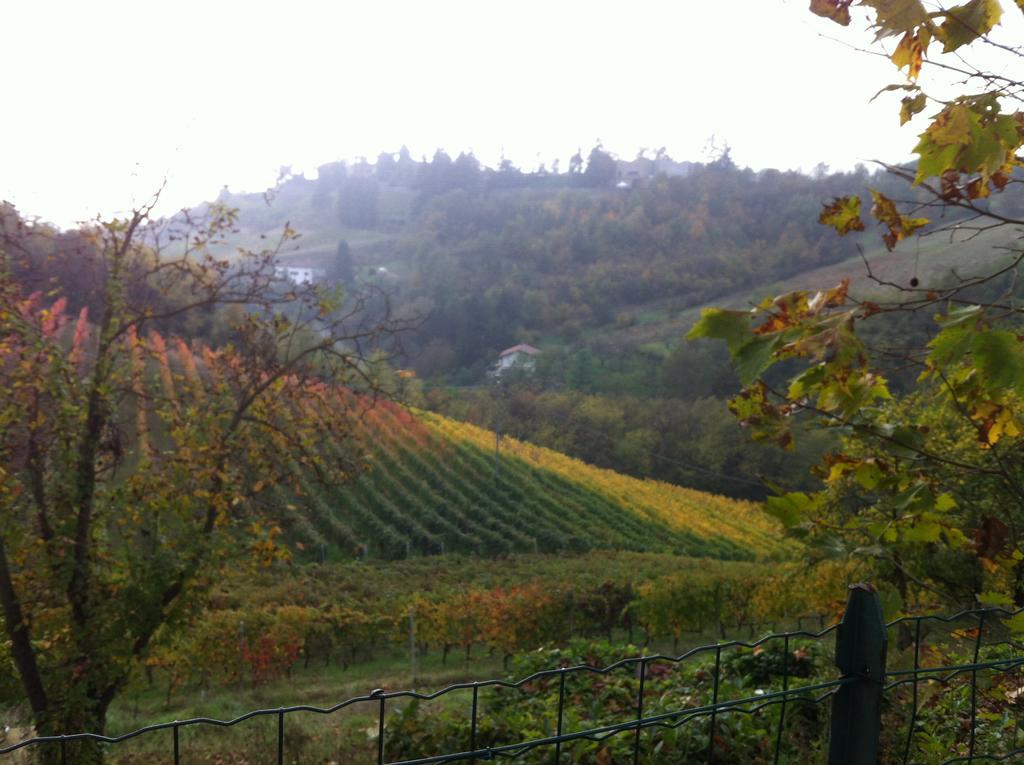Agriturismo Costa Dei Platani Acqui Terme Extérieur photo
