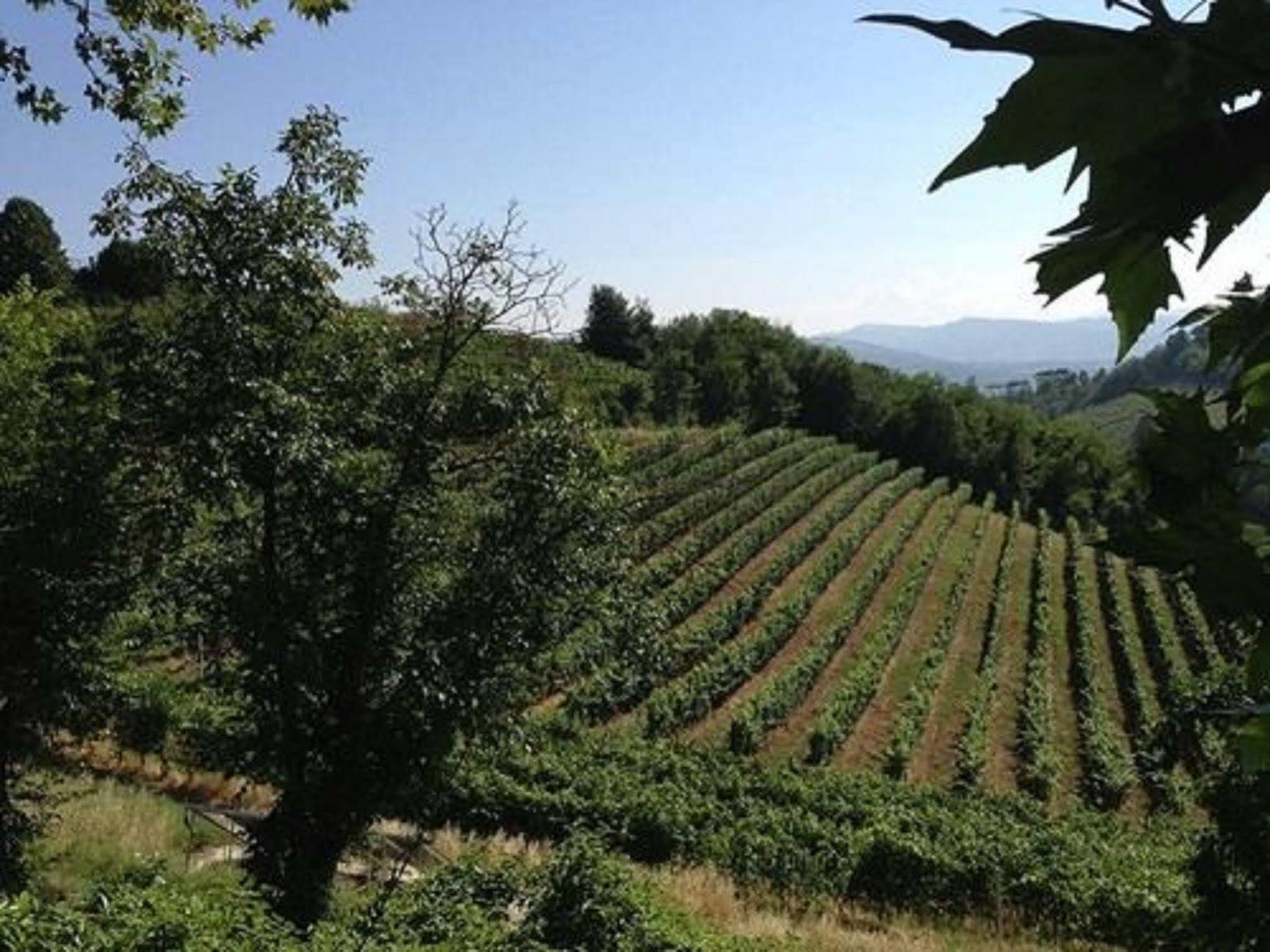 Agriturismo Costa Dei Platani Acqui Terme Extérieur photo