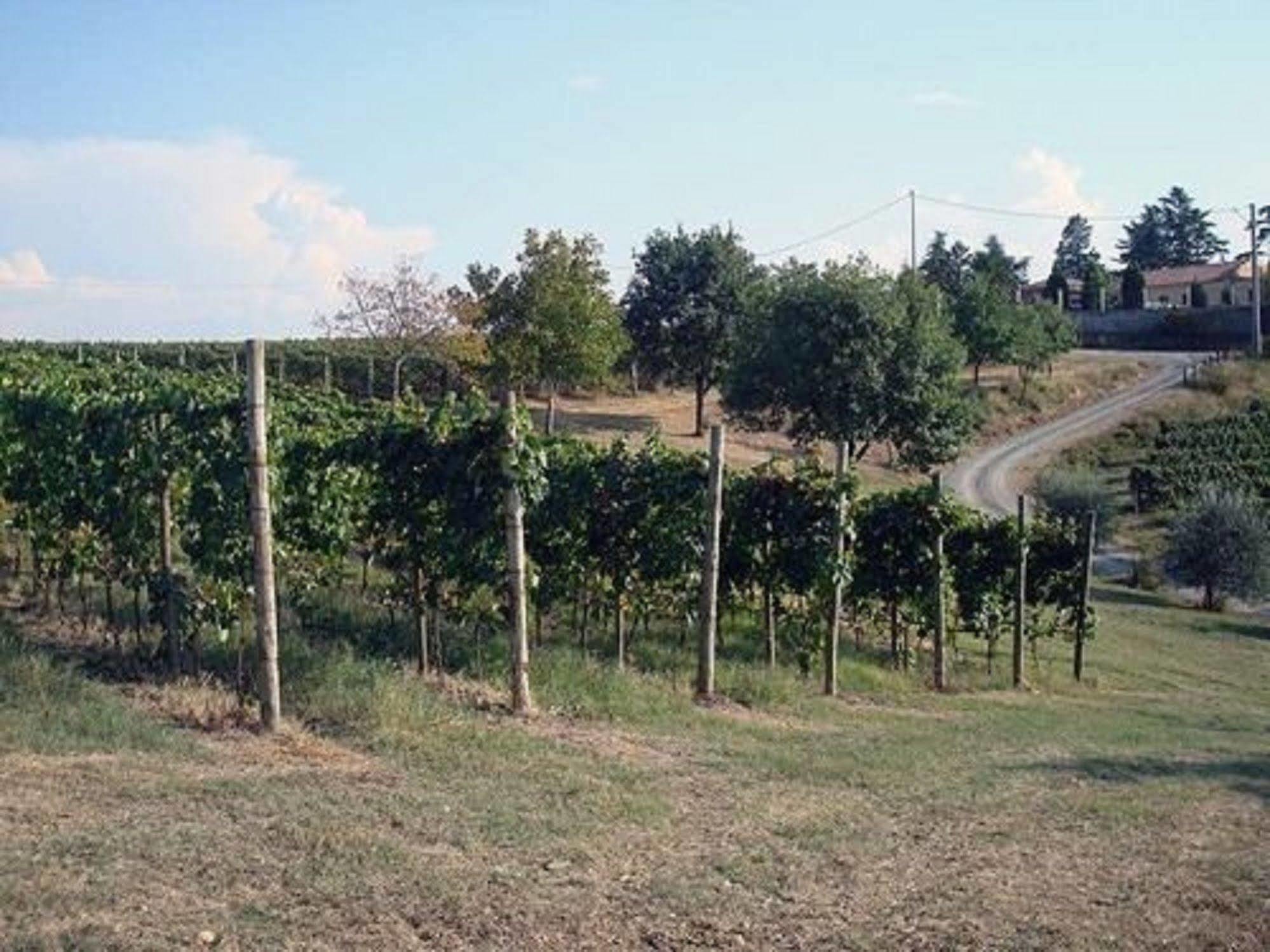 Agriturismo Costa Dei Platani Acqui Terme Extérieur photo