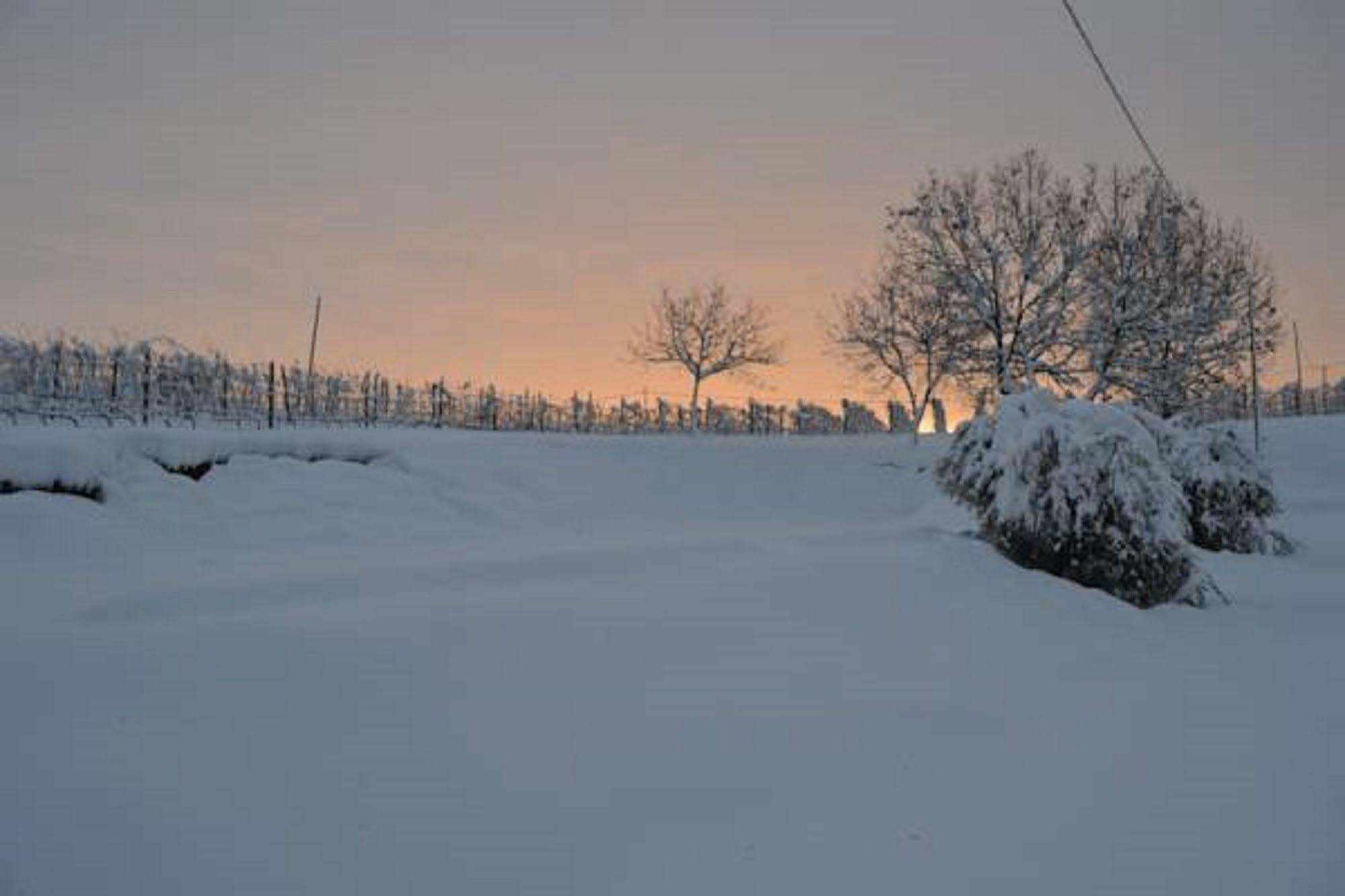 Agriturismo Costa Dei Platani Acqui Terme Extérieur photo