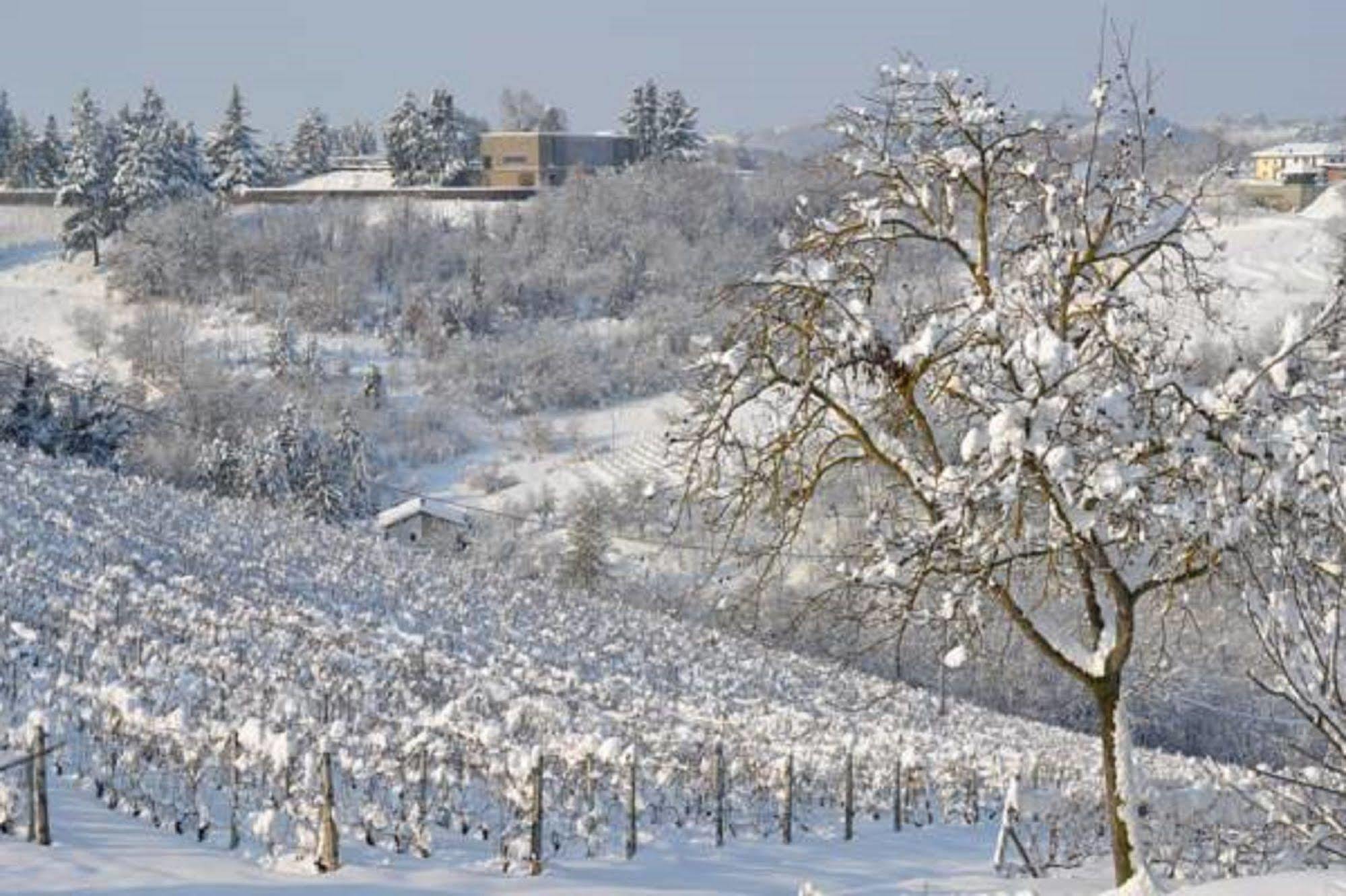 Agriturismo Costa Dei Platani Acqui Terme Extérieur photo