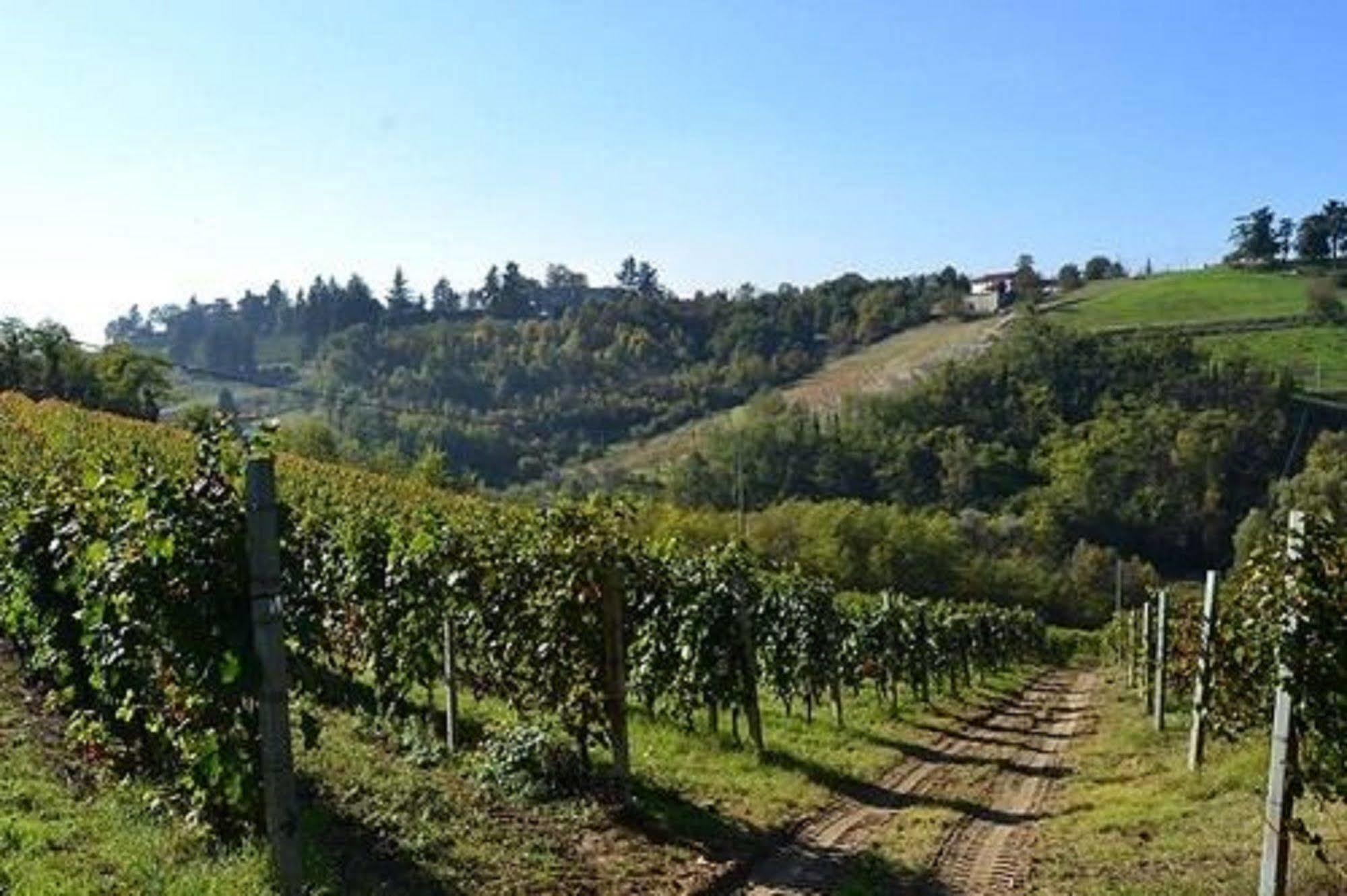 Agriturismo Costa Dei Platani Acqui Terme Extérieur photo