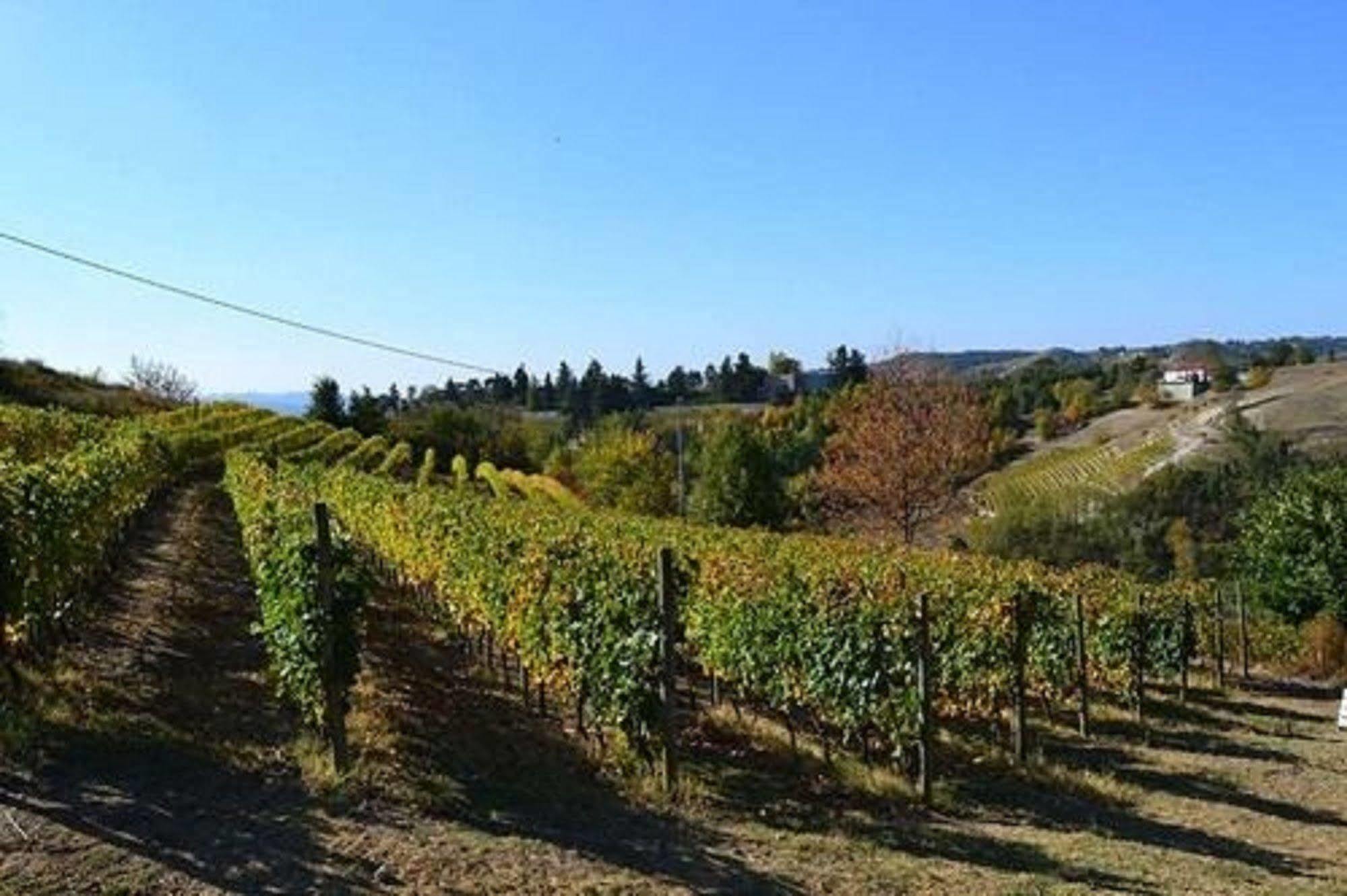 Agriturismo Costa Dei Platani Acqui Terme Extérieur photo