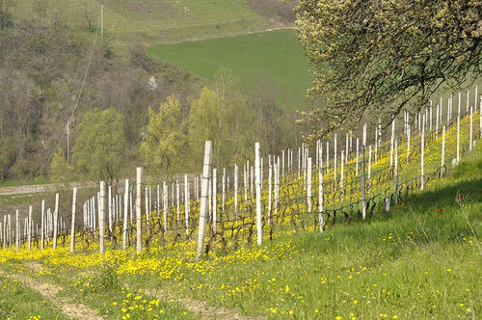 Agriturismo Costa Dei Platani Acqui Terme Extérieur photo